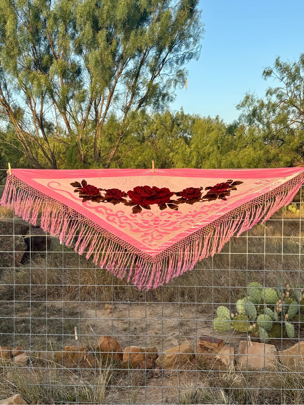 Rabella Collection Pink Tapestry with Deep Red Rose Motif Scarf